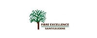 logo fibre excellence