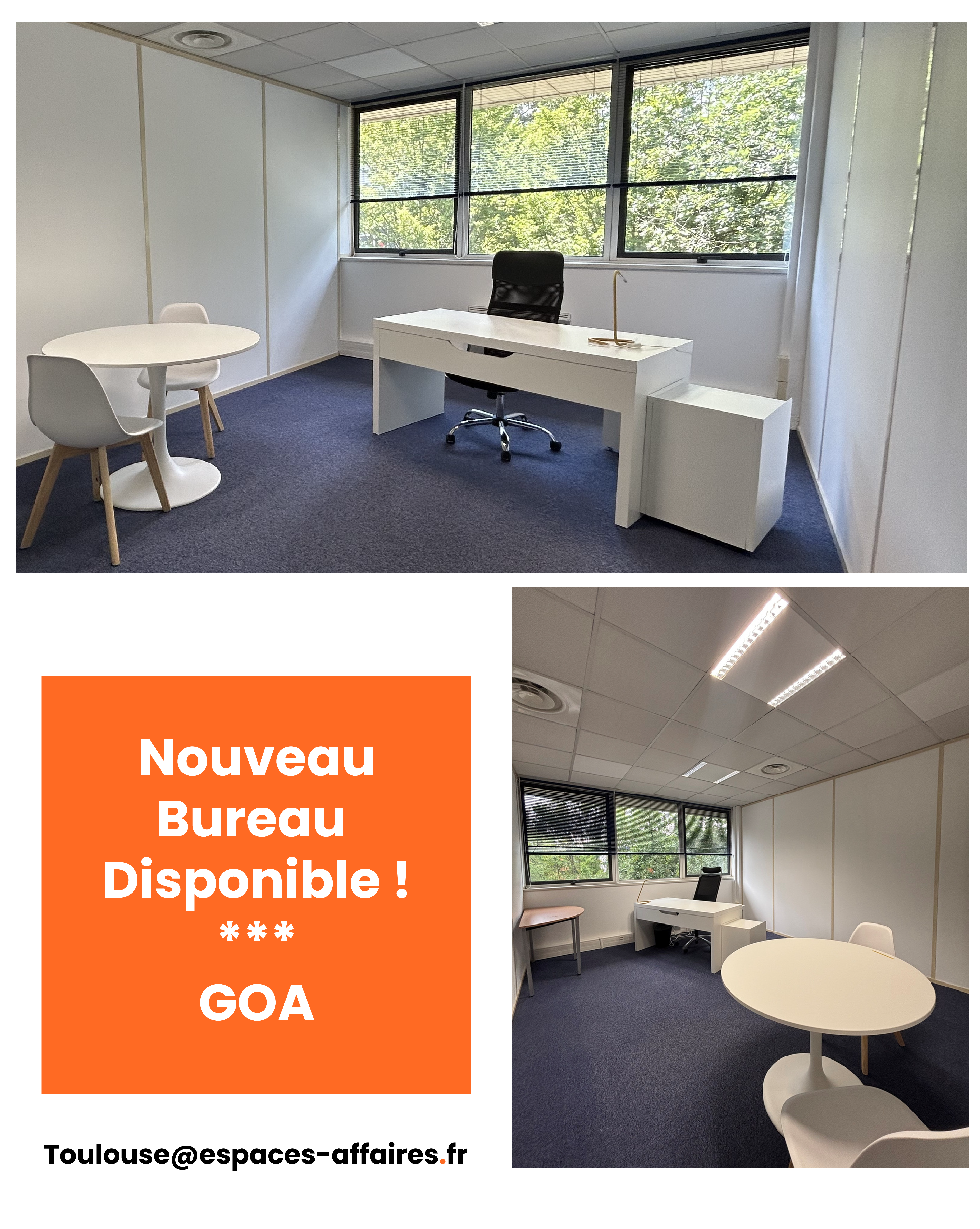 Publication GOA-01